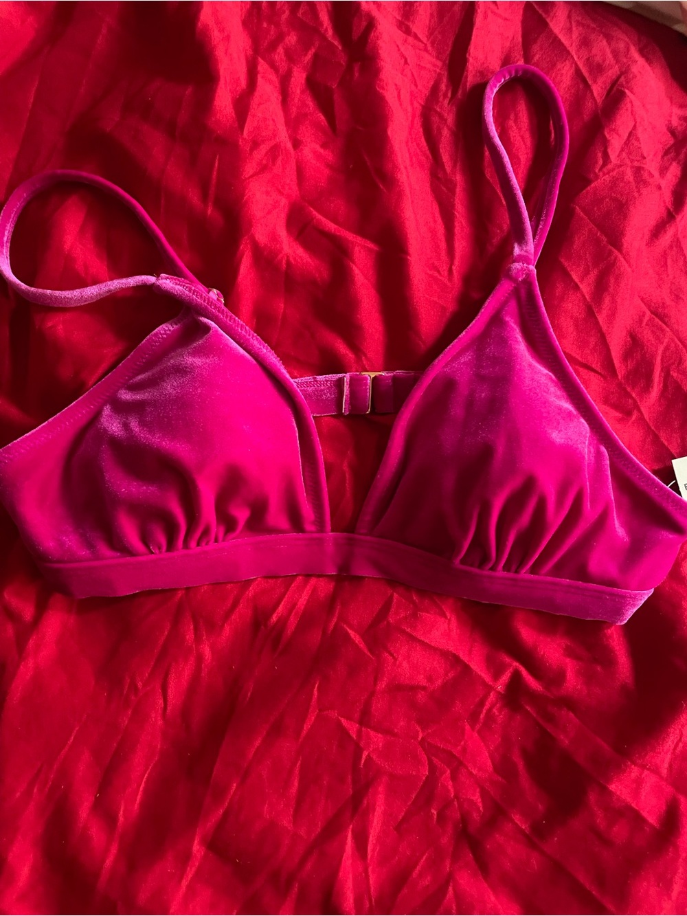 Express Velvet Bathing Suit Top in Hot Pink